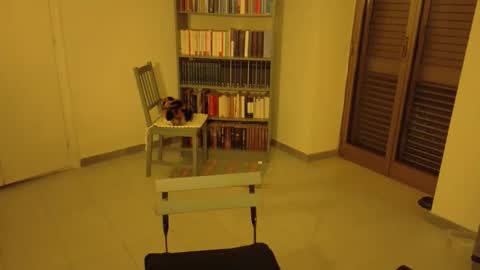 mrkurt86 online show from November 21, 2025, 4:49 pm