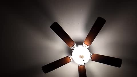 Snapshot of mrorange50187 chatting on December 1, 2024, 10:21 pm mrorange50187 online show from December 1, 2024, 10:21 pm