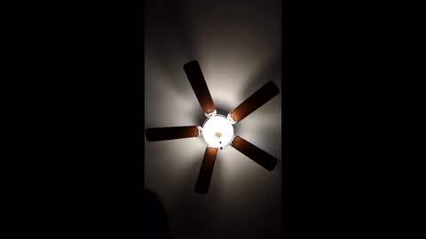 Snapshot of mrorange50187 chatting on December 18, 2024, 12:32 am mrorange50187 online show from December 18, 2024, 12:32 am