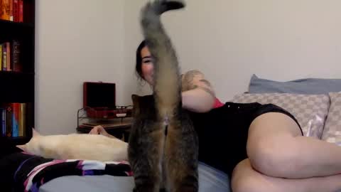 Snapshot of msrubyhayes chatting on December 11, 2024, 3:13 am Ruby online show from December 11, 2024, 3:13 am