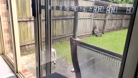 Snapshot of mudjimba chatting on December 17, 2024, 6:02 am mudjimba online show from December 17, 2024, 6:02 am