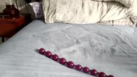 Laly online show from November 24, 2025, 8:36 am