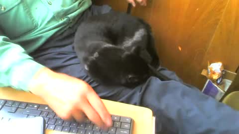 Snapshot of muller520 chatting on August 4, 2026, 1:03 pm muller520 online show from August 4, 2026, 1:03 pm