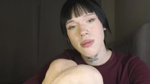 Polik online show from March 12, 2026, 4:13 pm