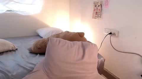   online show from February 17, 2026, 8:04 pm