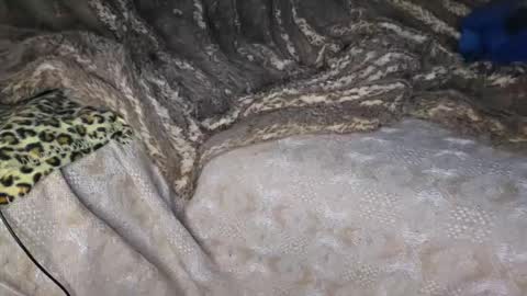 Muzzy online show from April 18, 2026, 10:43 pm