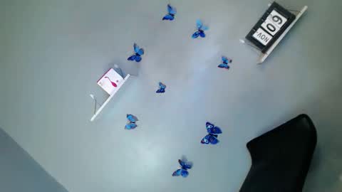 Snapshot of my_girl28 chatting on November 9, 2025, 1:20 pm jasmine online show from November 9, 2025, 1:20 pm