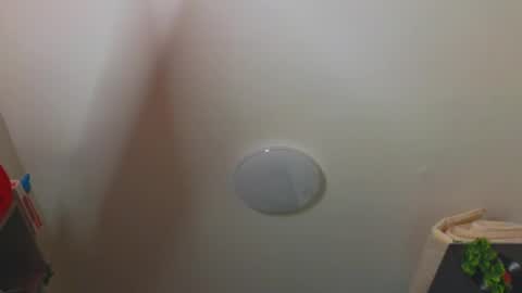  PARIS   online show from December 25, 2024, 6:19 pm