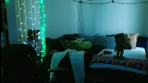 Snapshot of mycock4u247 chatting on February 16, 2025, 10:10 pm LA MARIPOSA DE MARICOPA online show from February 16, 2025, 10:10 pm