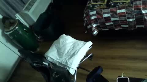 LA MARIPOSA DE MARICOPA online show from November 9, 2025, 7:50 am