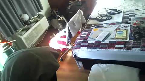 LA MARIPOSA DE MARICOPA online show from November 30, 2025, 3:16 pm