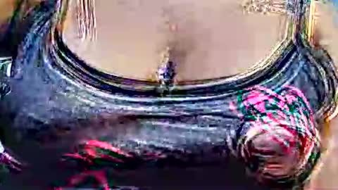 myhoney_hot online show from February 21, 2026, 12:28 pm