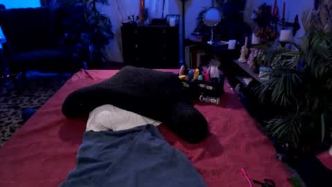 Jade Nyxxx online show from September 23, 2025, 4:26 am