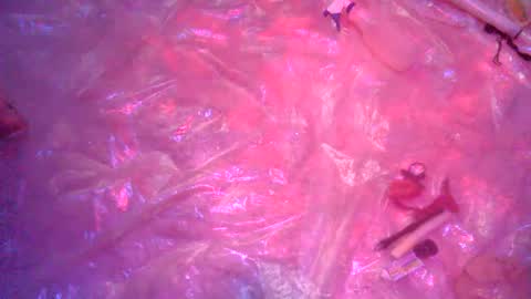 nakednate1780 online show from December 23, 2024, 6:22 am