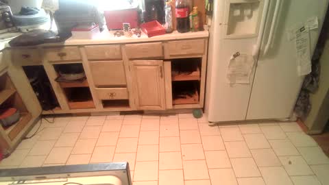 nakednate1780 online show from December 25, 2024, 2:23 pm