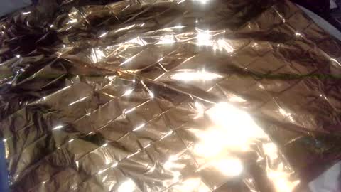 nakednate1780 online show from January 1, 2025, 2:41 am