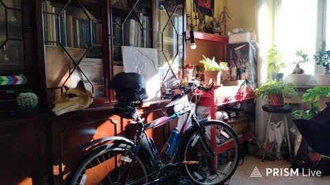 Naked Naturist online show from April 6, 2026, 6:47 am