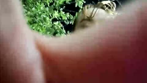 nanna_and_balder2 online show from April 19, 2026, 3:28 am