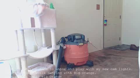 Nanna Baldur online show from December 16, 2025, 4:01 pm