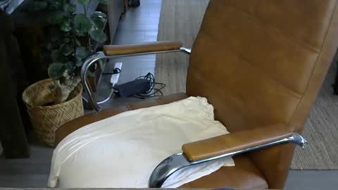 nareth338 online show from October 3, 2025, 3:53 pm