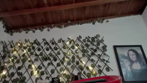 Nasha online show from January 24, 2025, 8:32 pm