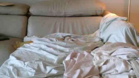 nassobout online show from December 14, 2025, 5:18 pm