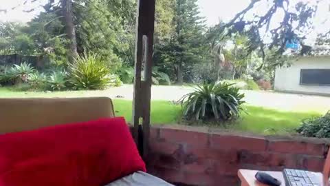 NatashaDiamond online show from June 23, 2026, 1:42 pm