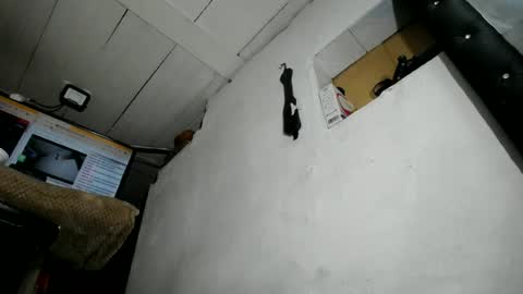 Snapshot of nattasha_foxx chatting on June 23, 2026, 2:09 am natalia online show from June 23, 2026, 2:09 am