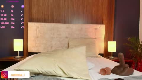 Snapshot of nattrose_ chatting on May 15, 2026, 9:22 pm Natt online show from May 15, 2026, 9:22 pm