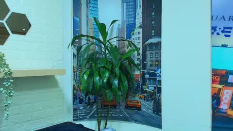 Snapshot of naughty_kittenm chatting on March 7, 2025, 10:24 am Kitten online show from March 7, 2025, 10:24 am