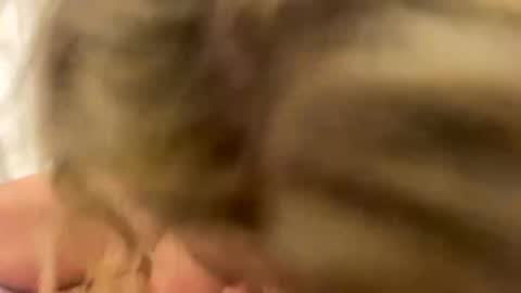 Naughtycouple2026 online show from April 24, 2026, 2:03 am