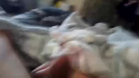 Snapshot of naughtyfelons6969 chatting on October 4, 2025, 9:07 am naughtyfelons6969 online show from October 4, 2025, 9:07 am