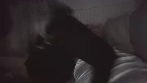 Snapshot of nchastain74 chatting on January 30, 2025, 6:03 am wetnikki6590 online show from January 30, 2025, 6:03 am