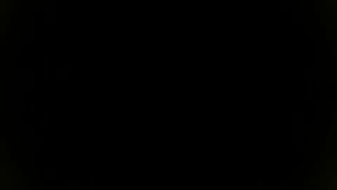 Sebastian online show from November 8, 2025, 7:34 pm