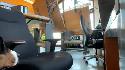 neneo21_ online show from January 13, 2025, 9:19 am