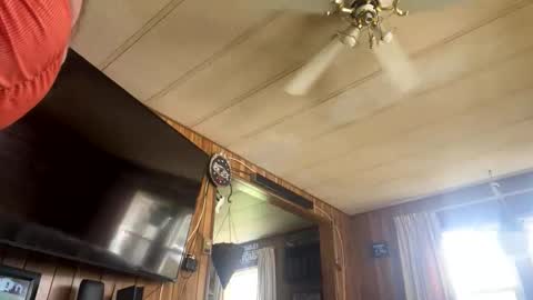 Snapshot of neversaynevrrr chatting on November 1, 2025, 5:37 pm neversaynevrrr online show from November 1, 2025, 5:37 pm