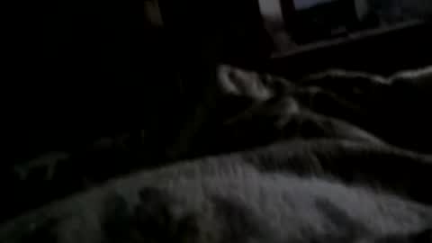 Matt online show from December 11, 2024, 7:42 am