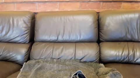 Snapshot of new_matilda chatting on December 4, 2025, 11:52 am Matilda online show from December 4, 2025, 11:52 am