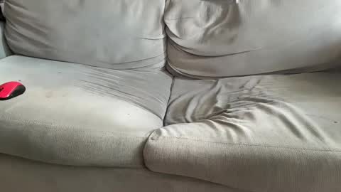 Snapshot of nhcam chatting on December 7, 2024, 11:51 am NH online show from December 7, 2024, 11:51 am