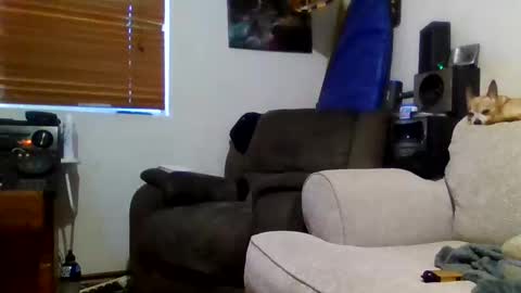 Sexiishaine online show from February 20, 2026, 7:21 am