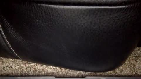 nick12989 online show from December 17, 2025, 6:19 am