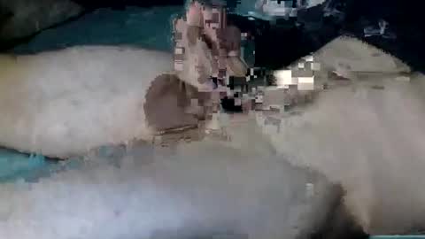 Nick online show from October 12, 2025, 11:20 am