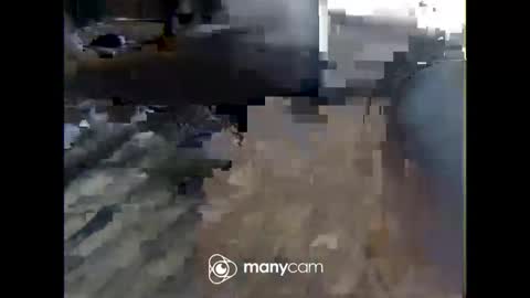 Nick online show from February 20, 2026, 2:06 pm