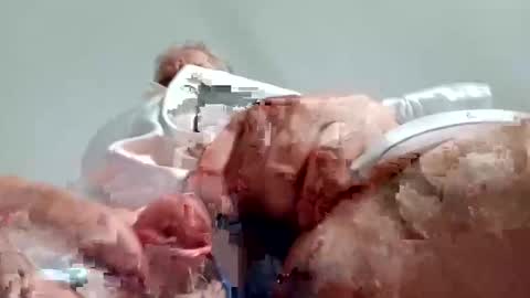 Snapshot of nickthefiddler chatting on December 28, 2024, 8:58 am TheCock online show from December 28, 2024, 8:58 am