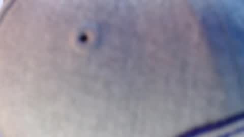 Snapshot of nicolas_torres99 chatting on December 12, 2024, 7:19 am nicolas online show from December 12, 2024, 7:19 am