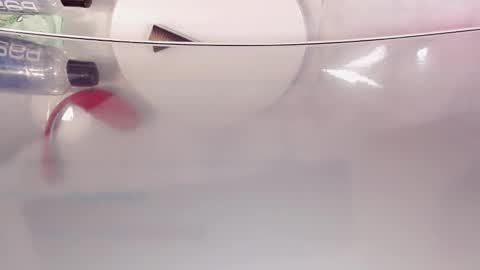 Nicole online show from October 13, 2025, 5:57 pm