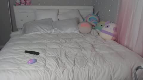 nikayasworld online show from December 16, 2024, 8:05 pm