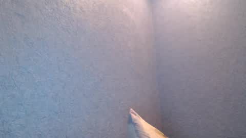 Snapshot of nikayshadow chatting on February 5, 2025, 4:47 pm NikayShadow online show from February 5, 2025, 4:47 pm