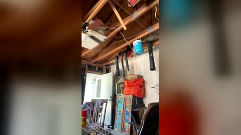 Nikkie online show from April 3, 2026, 7:12 pm