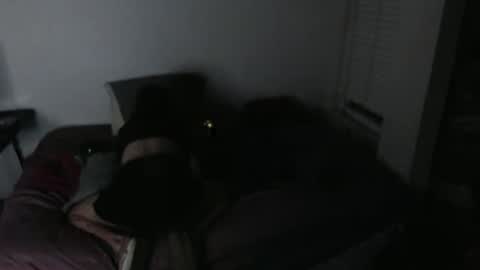 Snapshot of nikkigamer chatting on November 30, 2025, 11:47 am nikkigamer online show from November 30, 2025, 11:47 am